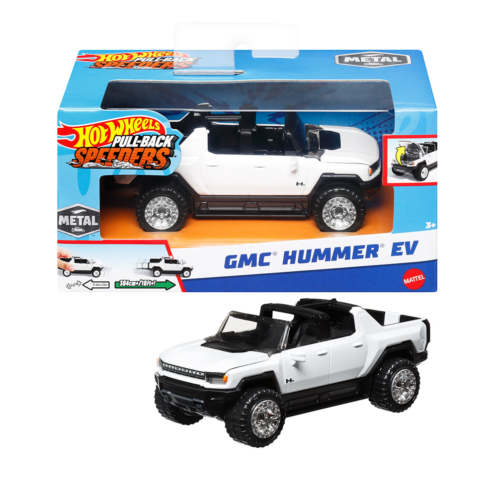 Hot Wheels 1:43 Large Scale Diecast Pullback Race Cars Assorted Collection