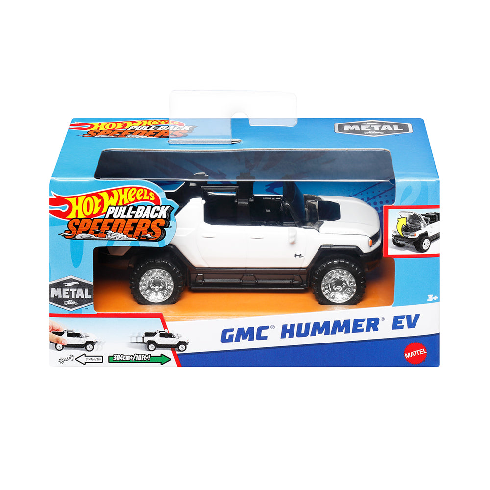 Hot Wheels 1:43 Large Scale Diecast Pullback Race Cars Assorted Collection