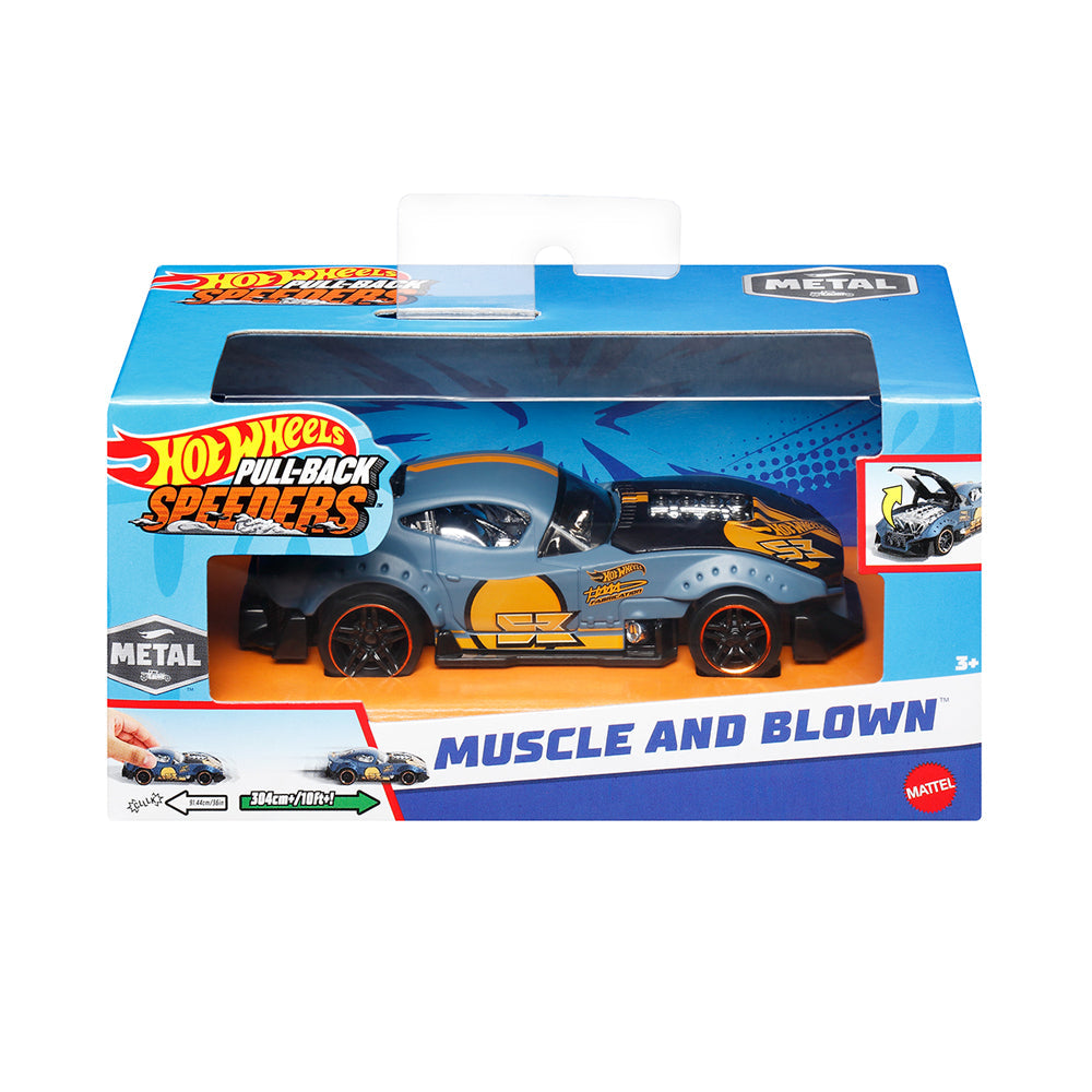 Hot Wheels 1:43 Large Scale Diecast Pullback Race Cars Assorted Collection